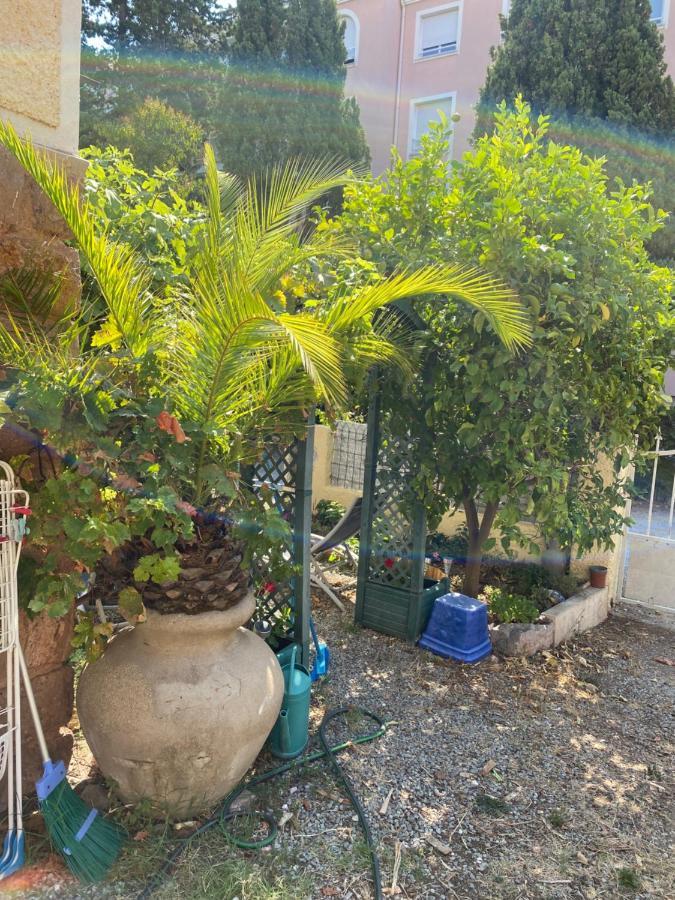 شقة Jardin D'Eden Saint-Raphaël المظهر الخارجي الصورة